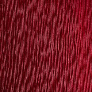 Dahlia-15 Watermelon